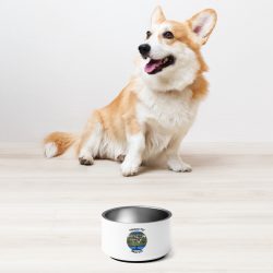 Hazza TV Pet Bowl