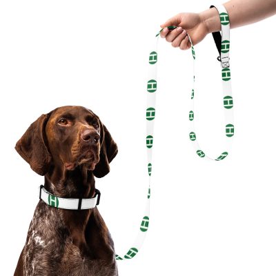 Hazza TV Dog Leash and Collar - Image 3