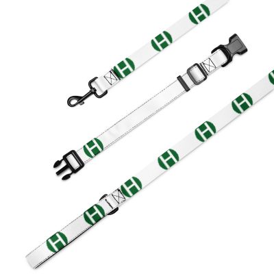 Hazza TV Dog Leash and Collar - Image 2